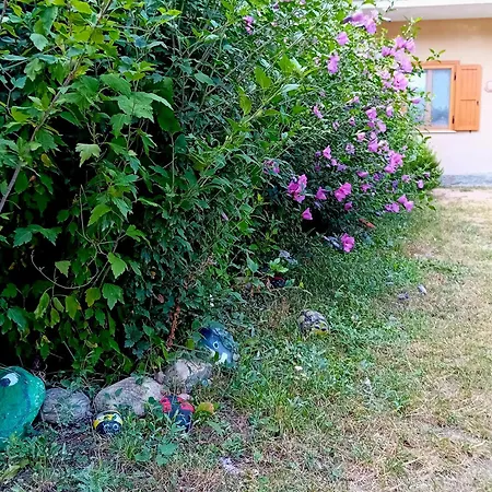 Ca D'margherita And Heidi Apartament *