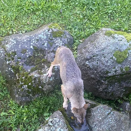 Apartament Ca D'margherita And Heidi