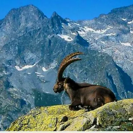 Ca D'margherita And Heidi Valdieri