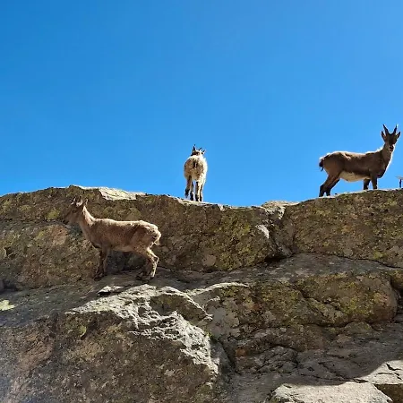 Apartament Ca D'margherita And Heidi