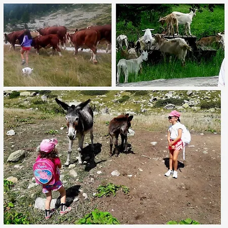 Ca D'margherita And Heidi *