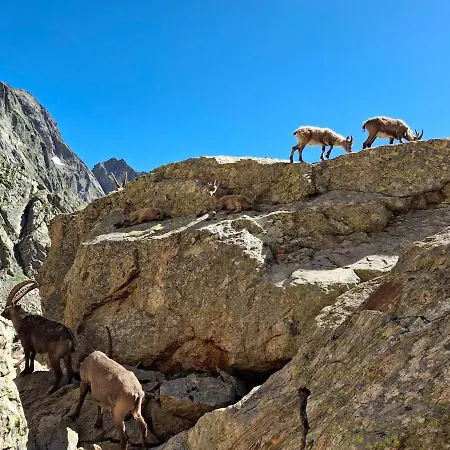 Ca D'margherita And Heidi ヴァルディエーリ