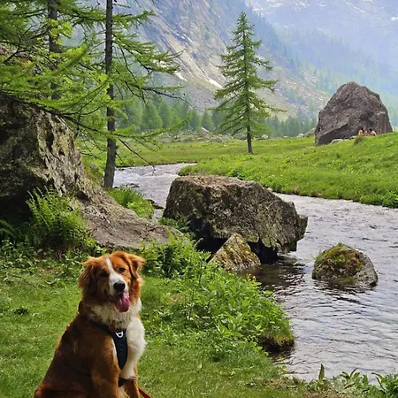 Ca D'margherita And Heidi Apartament