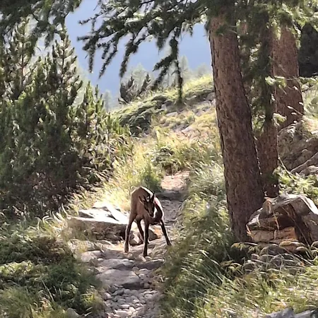 Ca D'margherita And Heidi ヴァルディエーリ